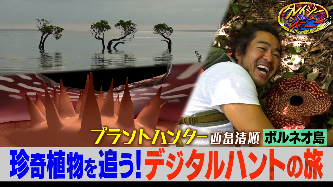 摩訶不思議…珍奇な植物だらけ！ボルネオ旅★超クレイジープラントハンター初登場！