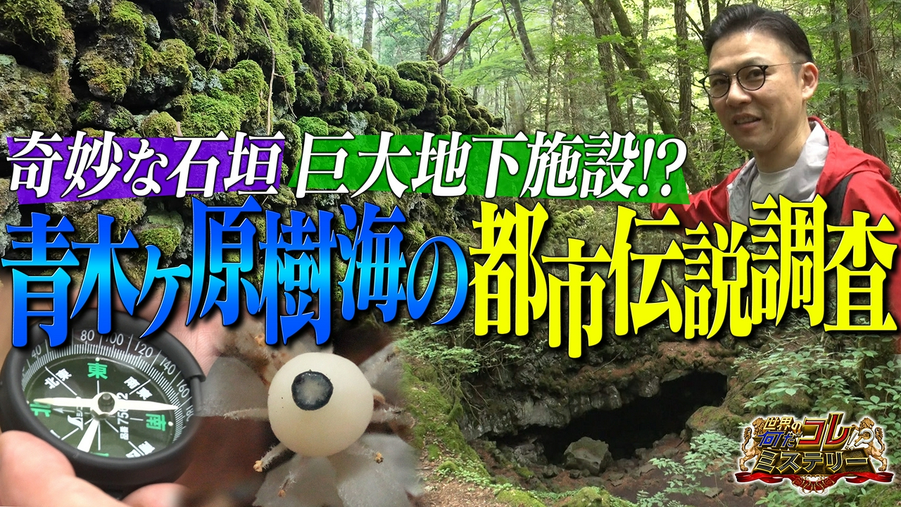 青木ヶ原樹海の都市伝説調査